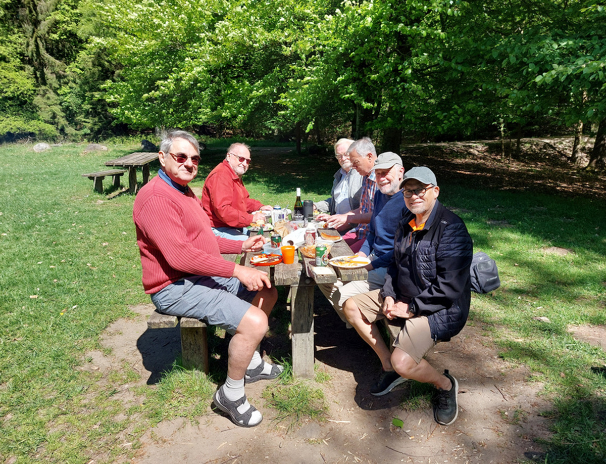 Gruppe af seks ældre mænd, der sidder ved et picnicbord i en lysning i skoven og spiser frokost på en solskinsdag.